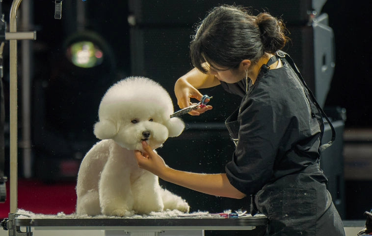 Grooming Competition
