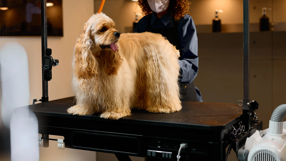 Refined Details for Enhanced Grooming