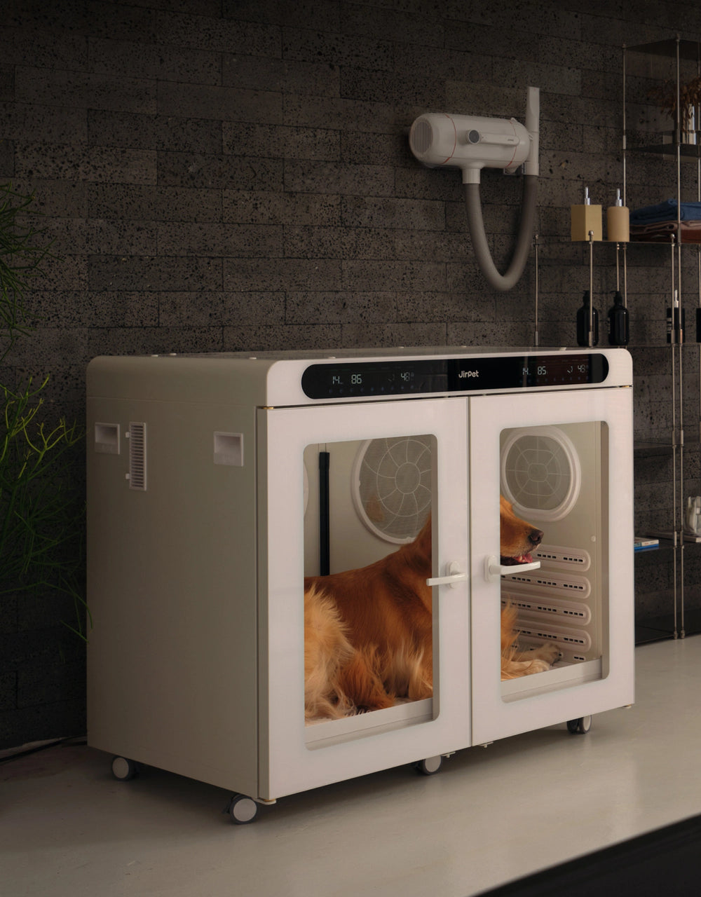 Professional Grooming Workflow with Safe Pet Drying