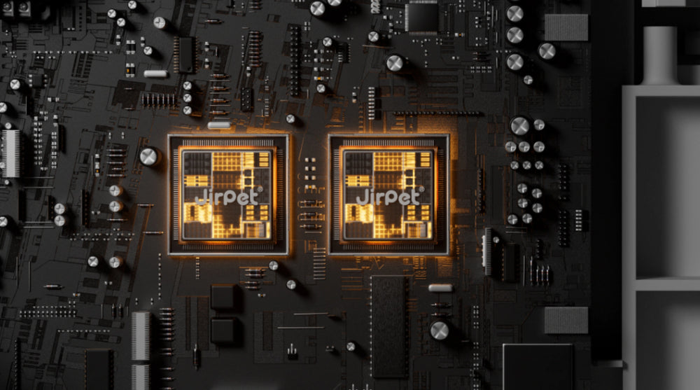 Dual Chips