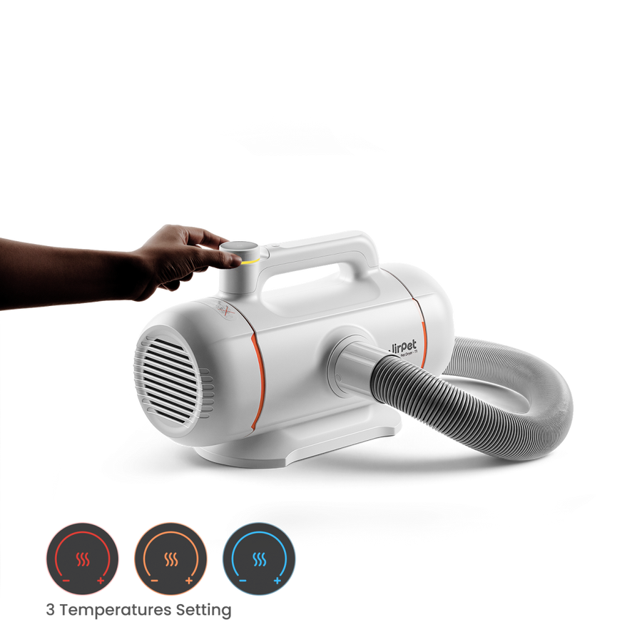 Jirpet Twin Titan I High Speed Pet Force Dryer