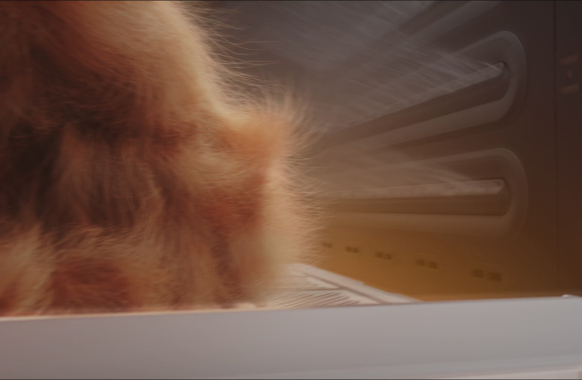 Load video: 123
