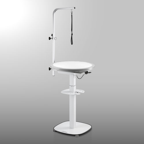 Hydraulic 360° Rotating Pet Grooming Table with Tabletop Light – Jirpet Revolve360