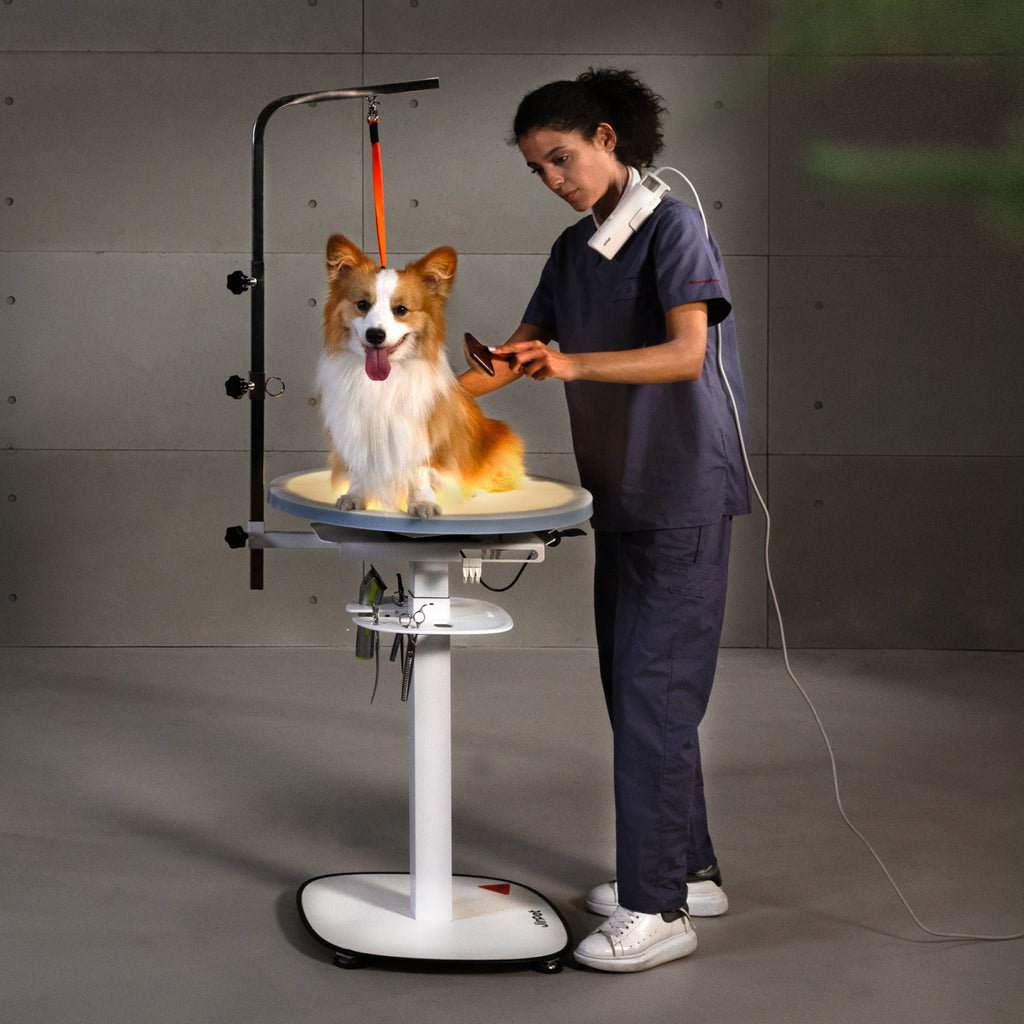 Revolve 360 Grooming Table
