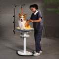 Hydraulic 360° Rotating Pet Grooming Table with Tabletop Light – Jirpet Revolve360