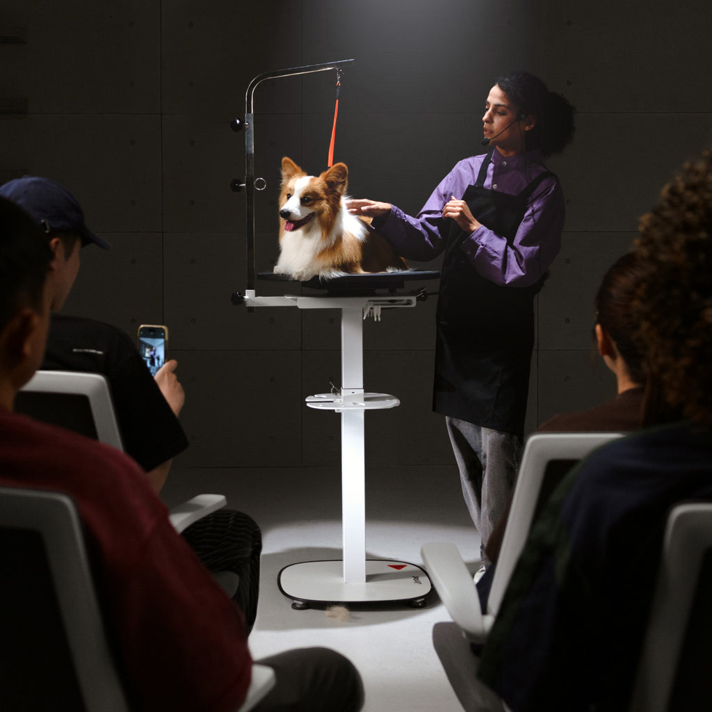 Rotique 360 Grooming Table