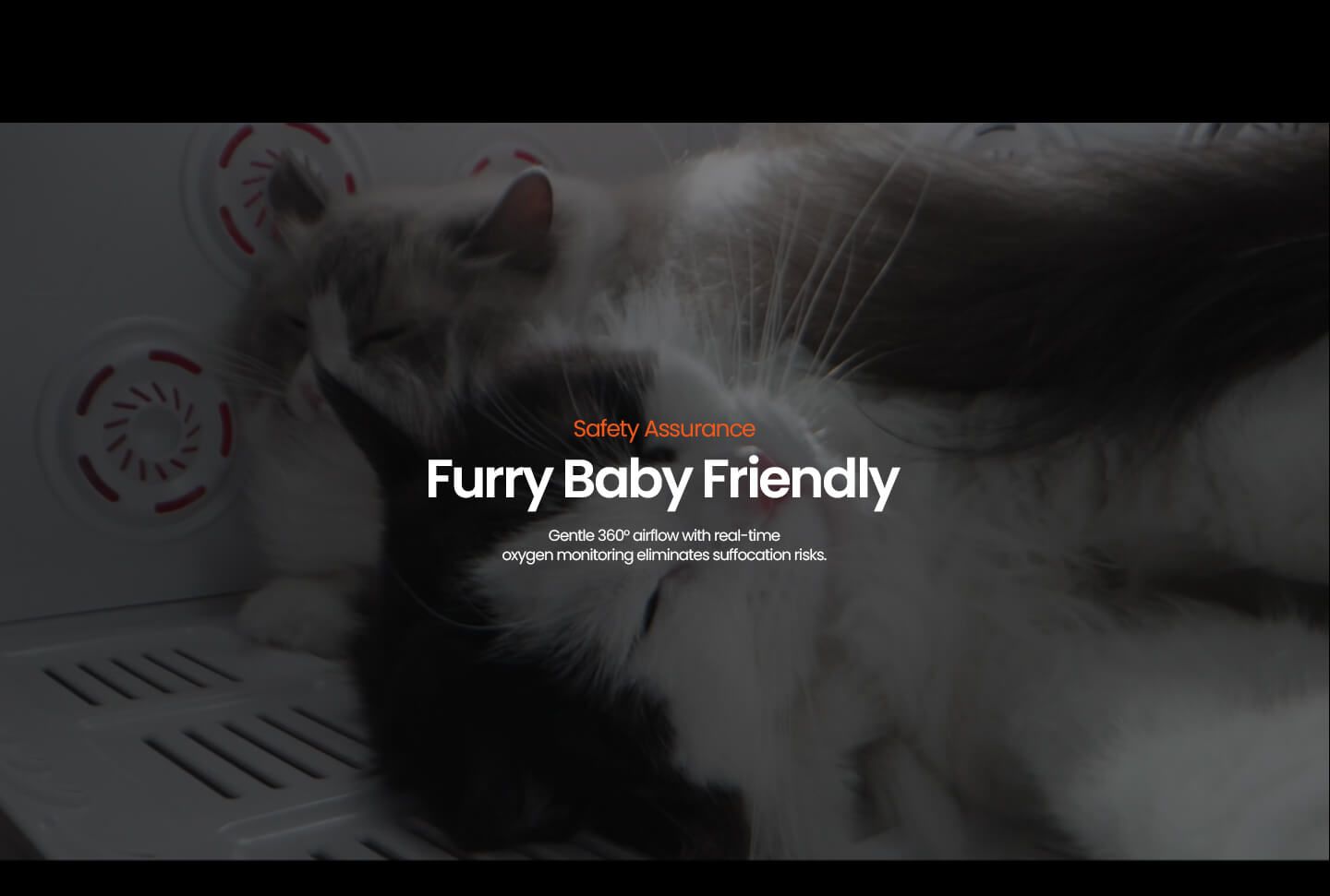 jirpet H1 产品图片 11