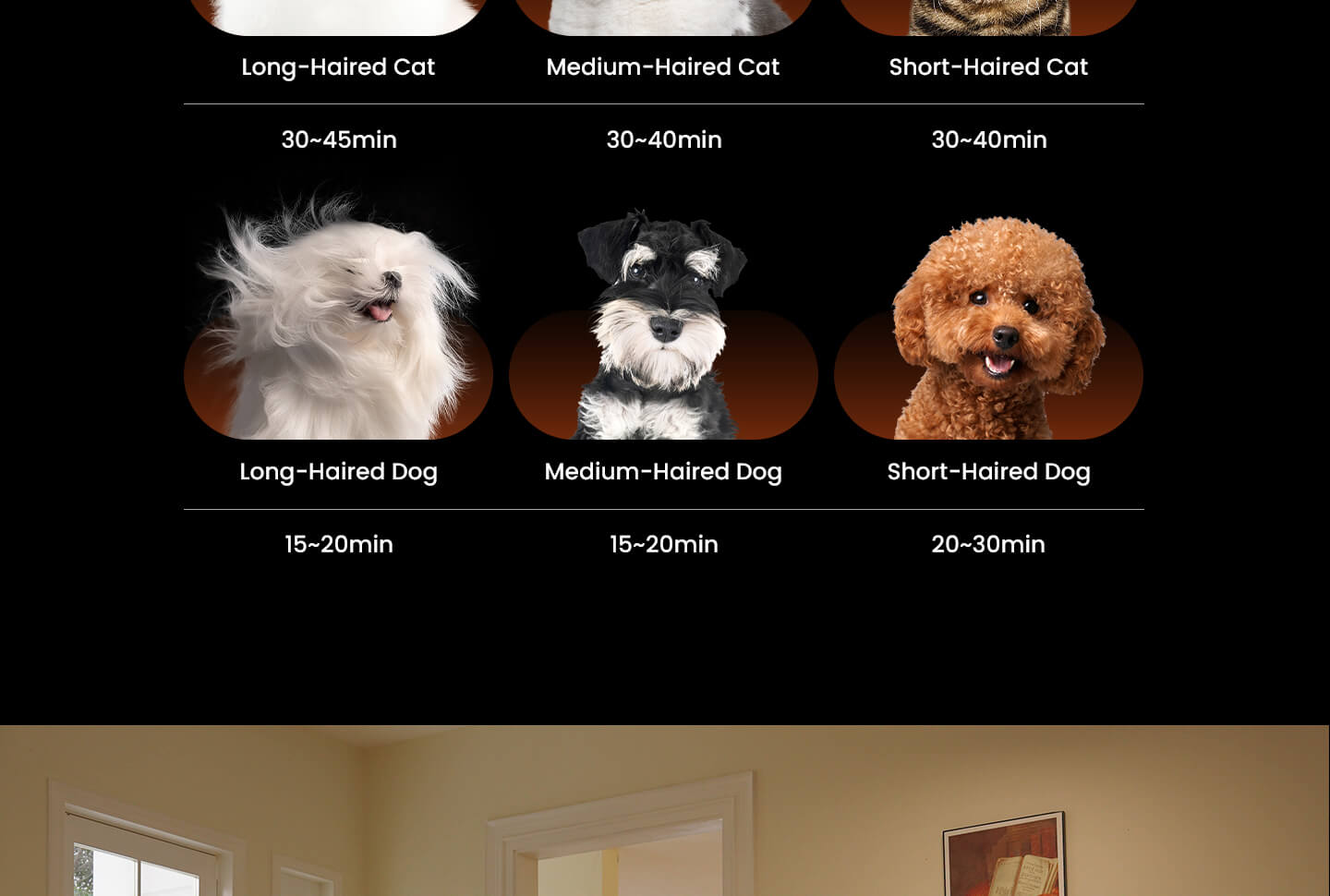 jirpet H1 产品图片 14