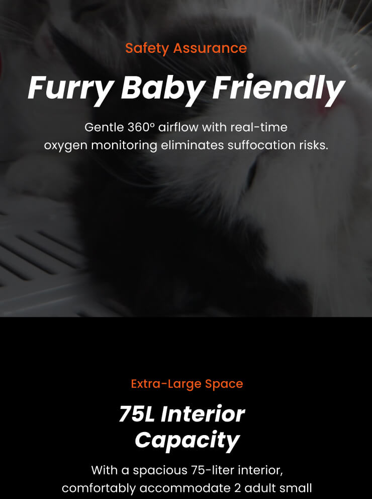 jirpet H1 产品图片 18