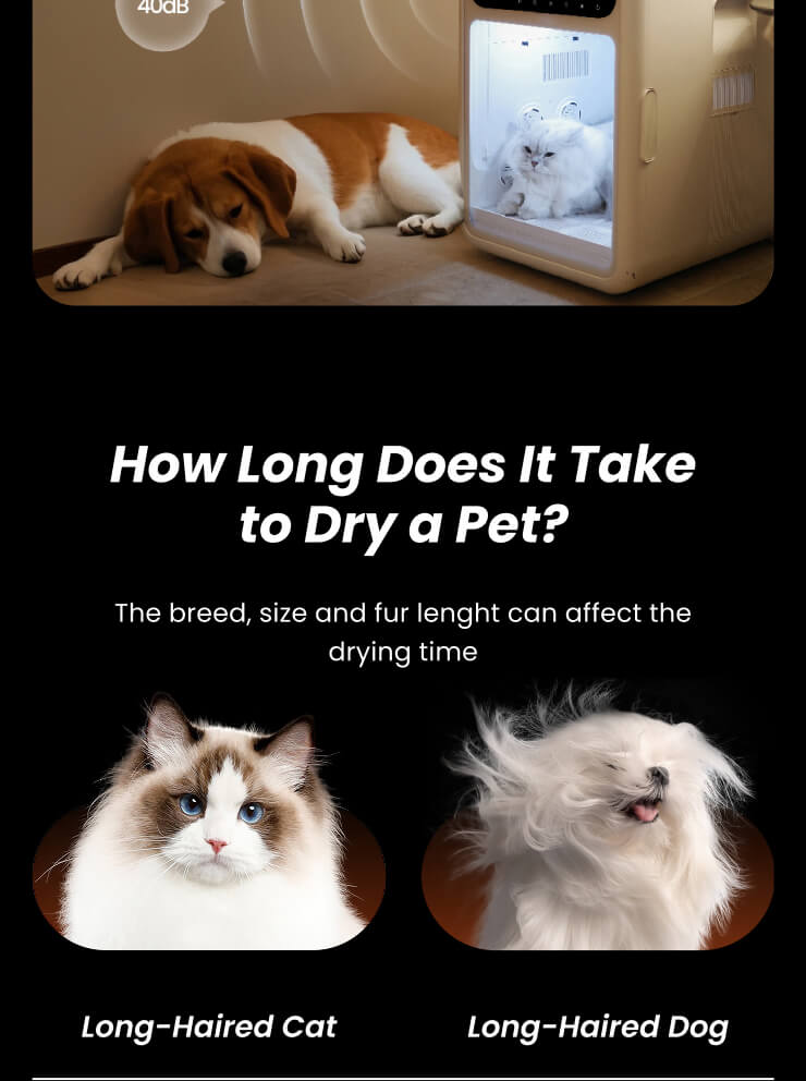 jirpet H1 产品图片 10