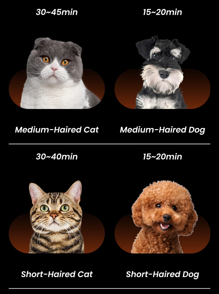 jirpet H1 产品图片 12