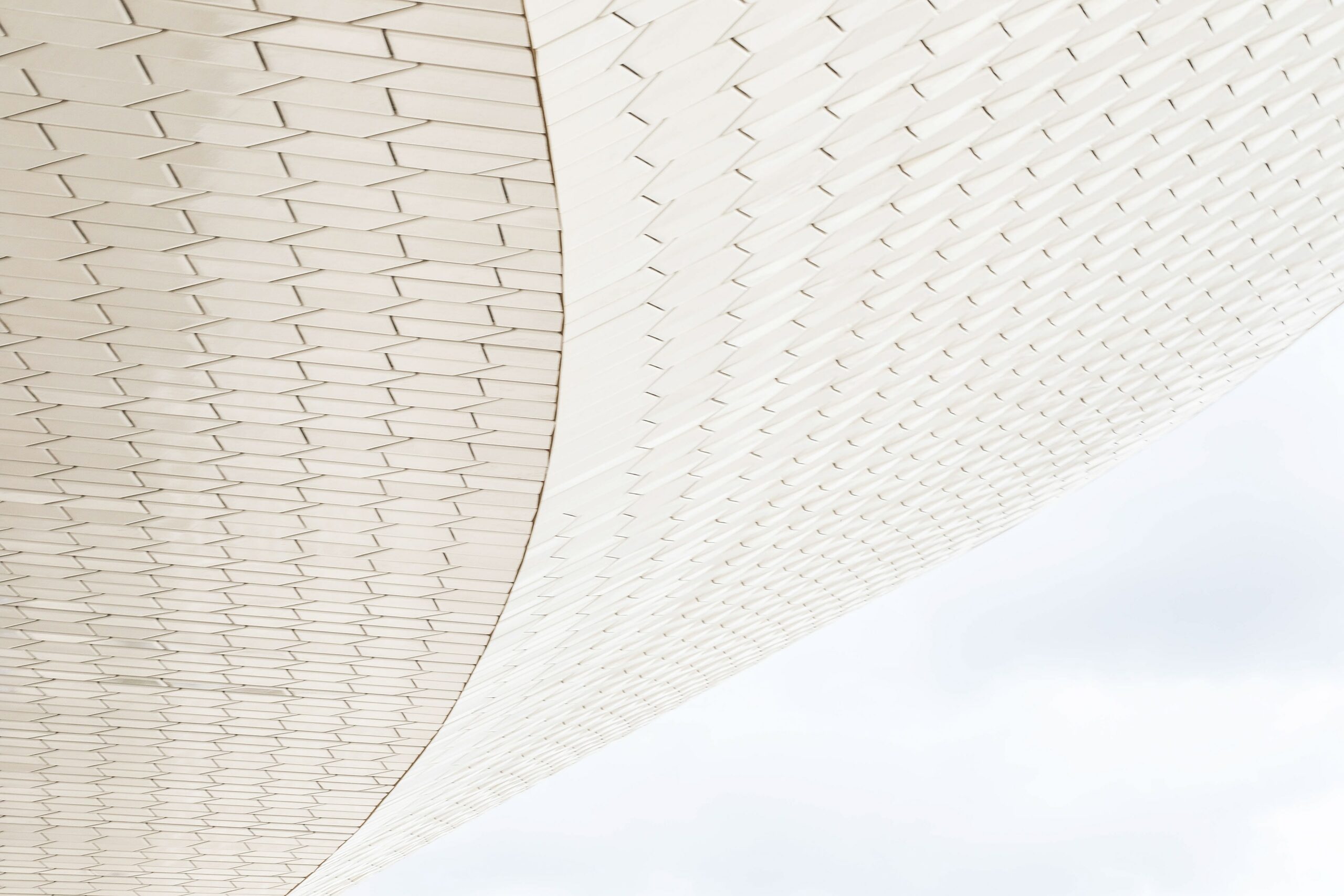 barbara-sampaio-g1NpIDNPj_c-unsplash